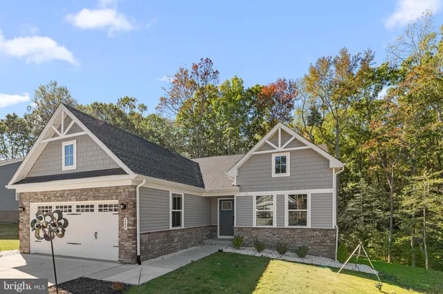 a view of a yard in front of a house with plants and large tree