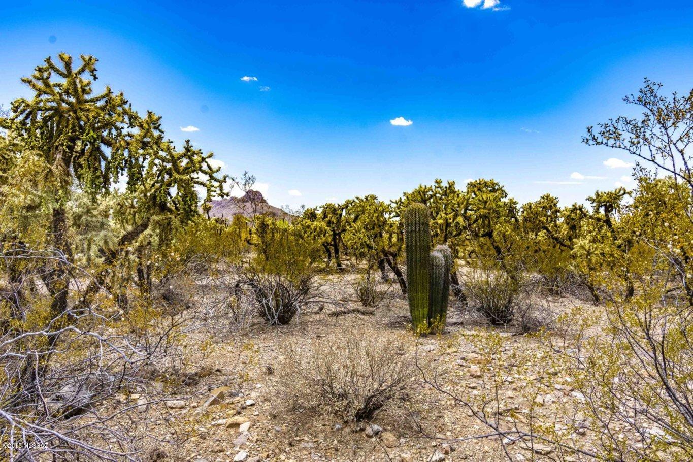 Xxx North Wade Road, Unit 9 83 AC Tucson, AZ 85743 - Photo 7 of 15 Gallery Image 7