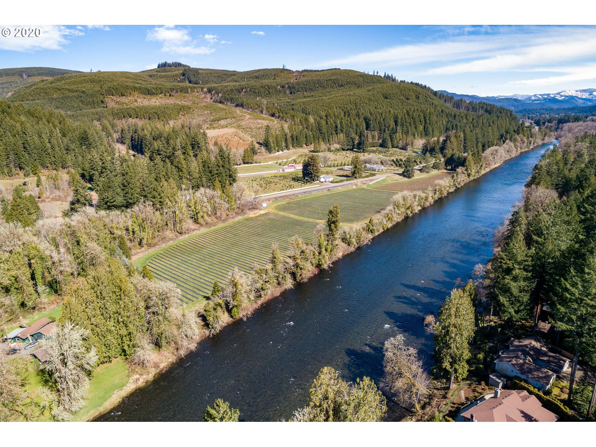 42983 Deerhorn Road Springfield, OR 97478 - Photo 11 of 12 Gallery Image 11