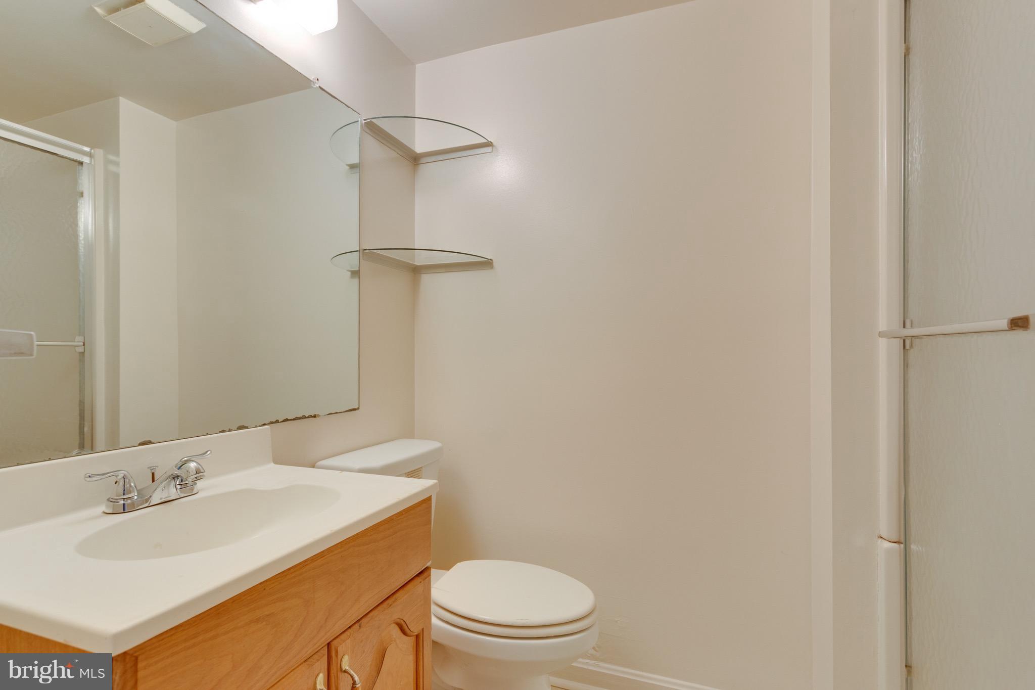13326 Country Ridge Drive Germantown, MD 20874 - Photo 13 of 25 Basement