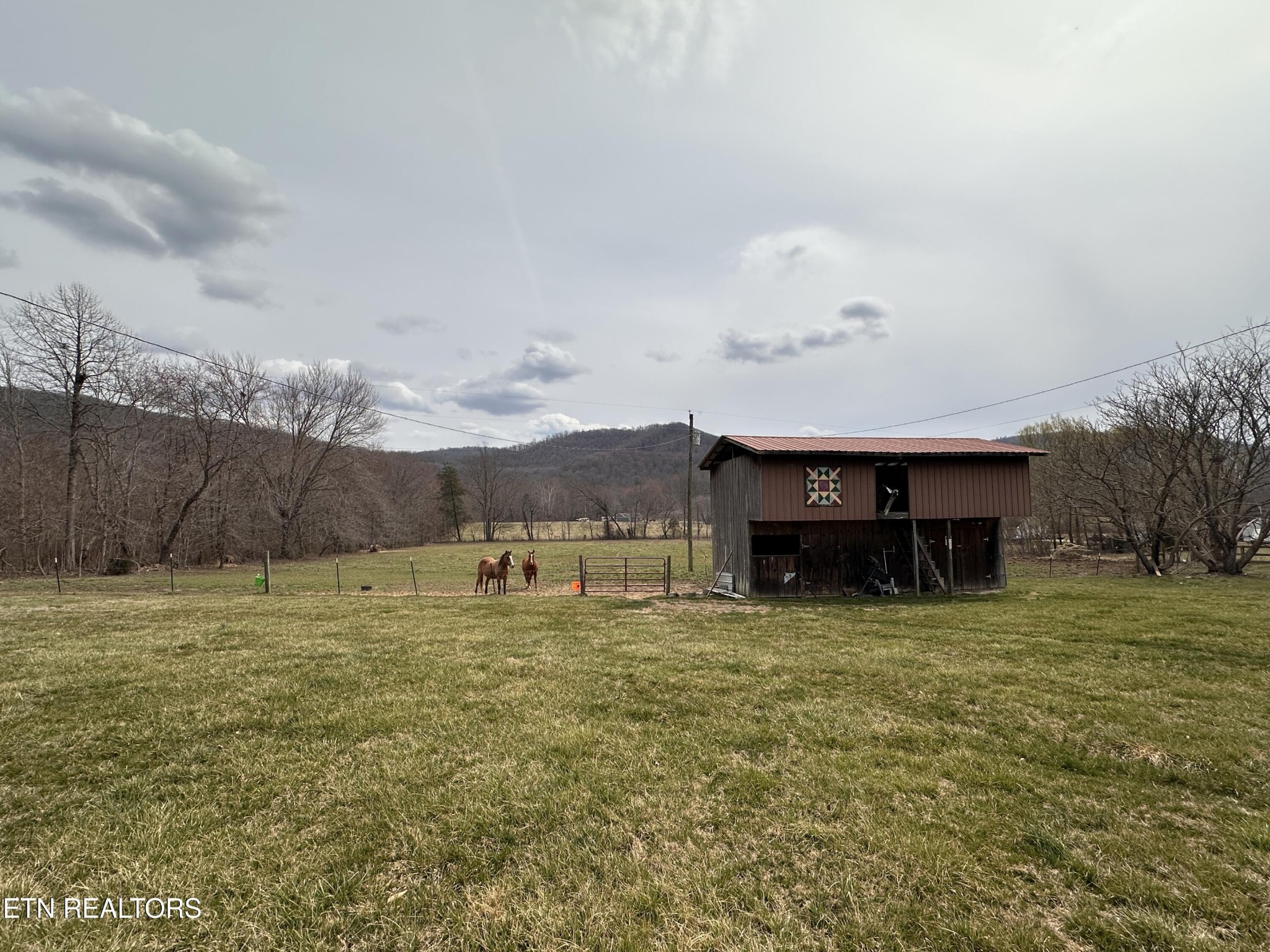1370 Clay Hill Road Winfield, TN 37892 - Photo 29 of 34 Gallery Image 29