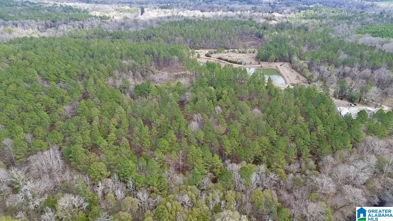 576 Gunlock Street Montevallo, AL 35115 - Photo 63 of 76