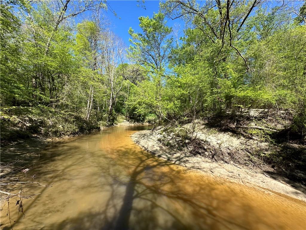 Lot J2 Seaboard Lane Hatchechubbee, AL 36858 - Photo 6 of 13 Gallery Image 6