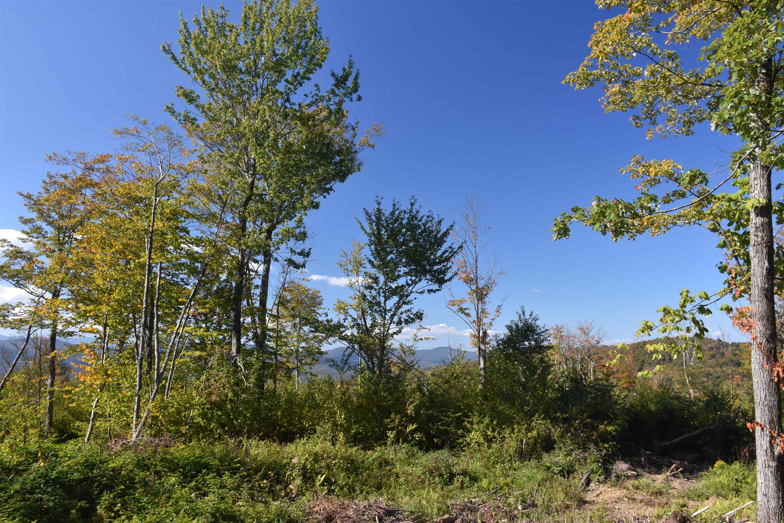 662 Belcher Road, Unit 2 Roxbury, VT 05669 - Photo 11 of 41