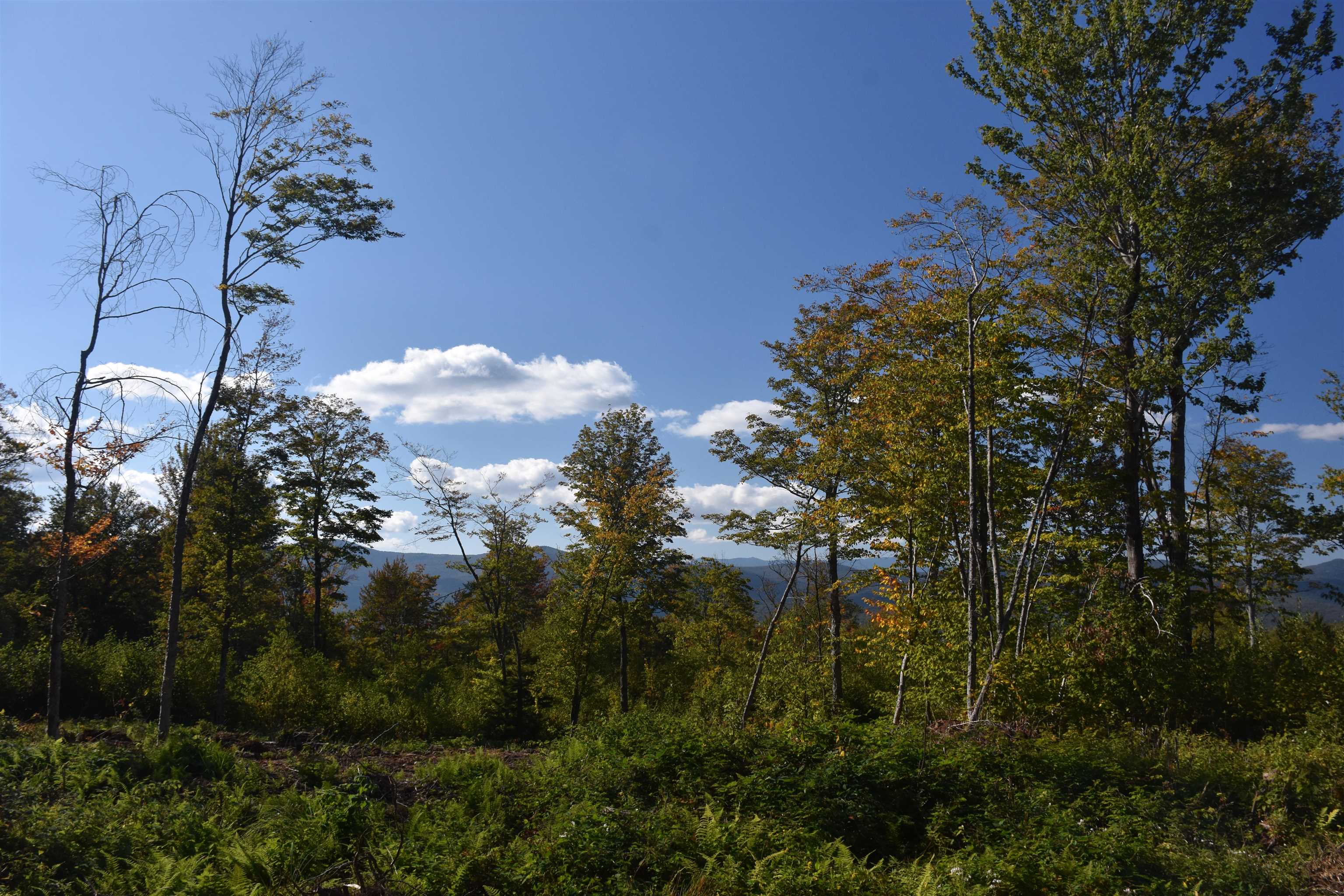662 Belcher Road, Unit 2 Roxbury, VT 05669 - Photo 14 of 41