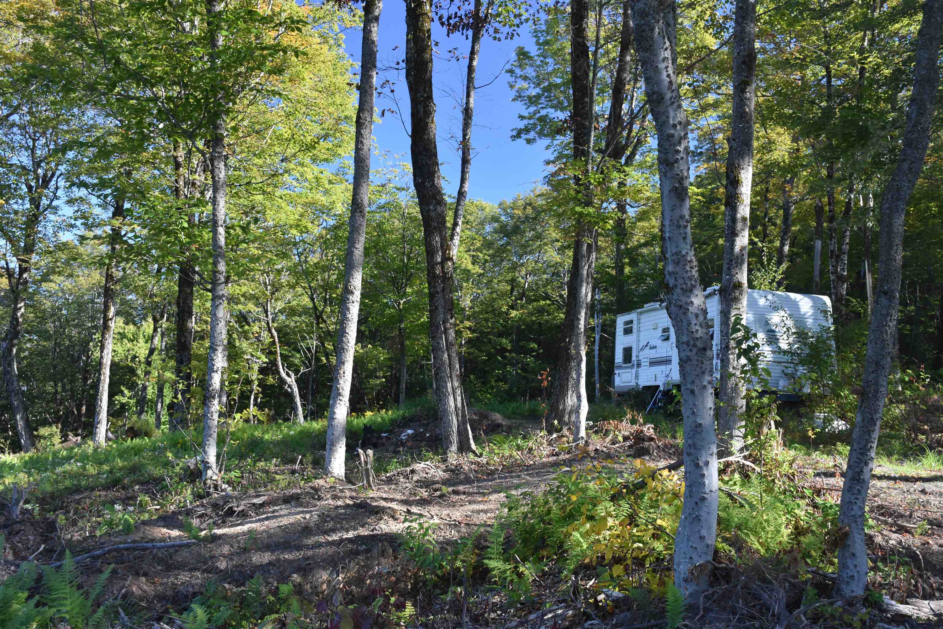 662 Belcher Road, Unit 2 Roxbury, VT 05669 - Photo 15 of 41