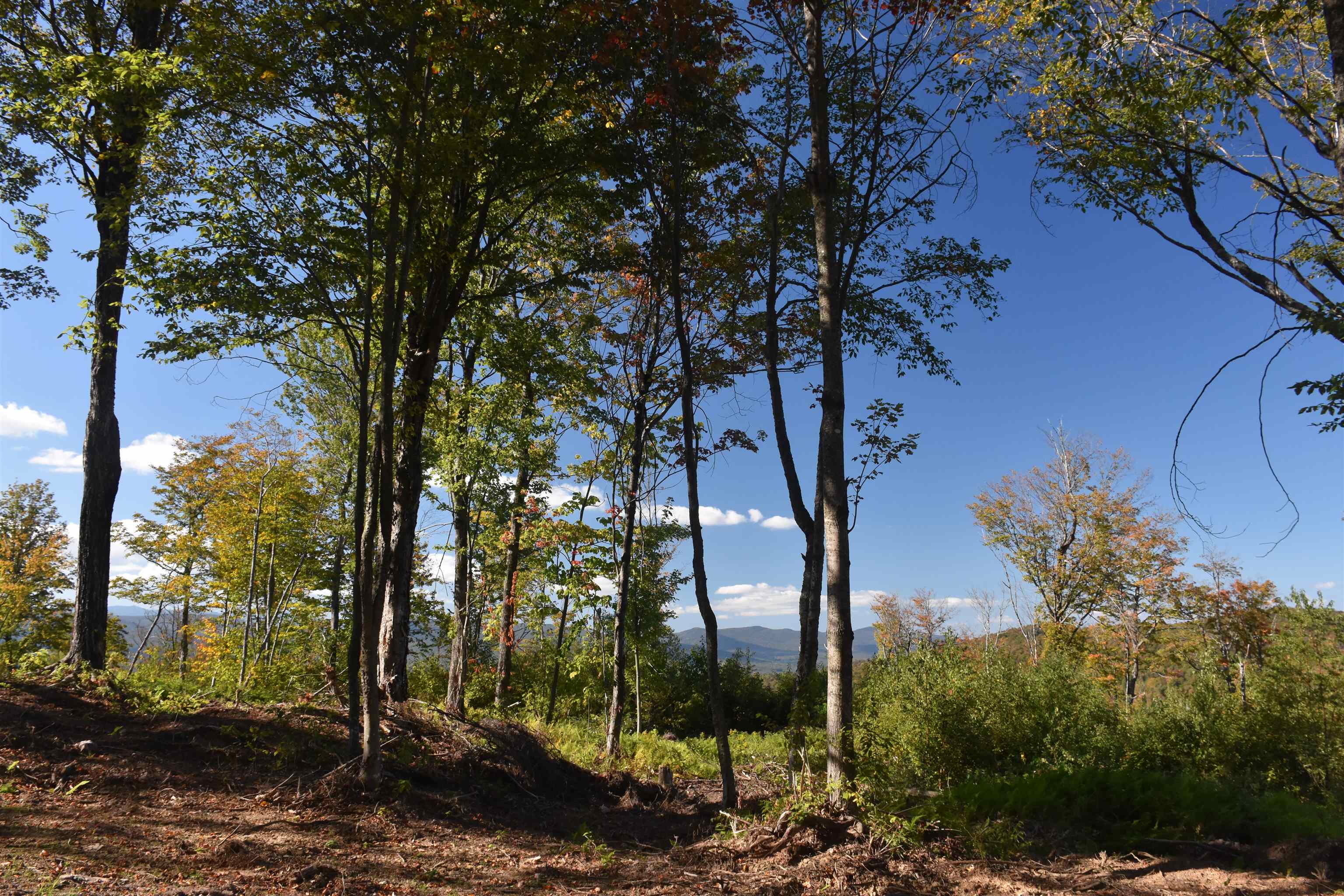 662 Belcher Road, Unit 2 Roxbury, VT 05669 - Photo 16 of 41