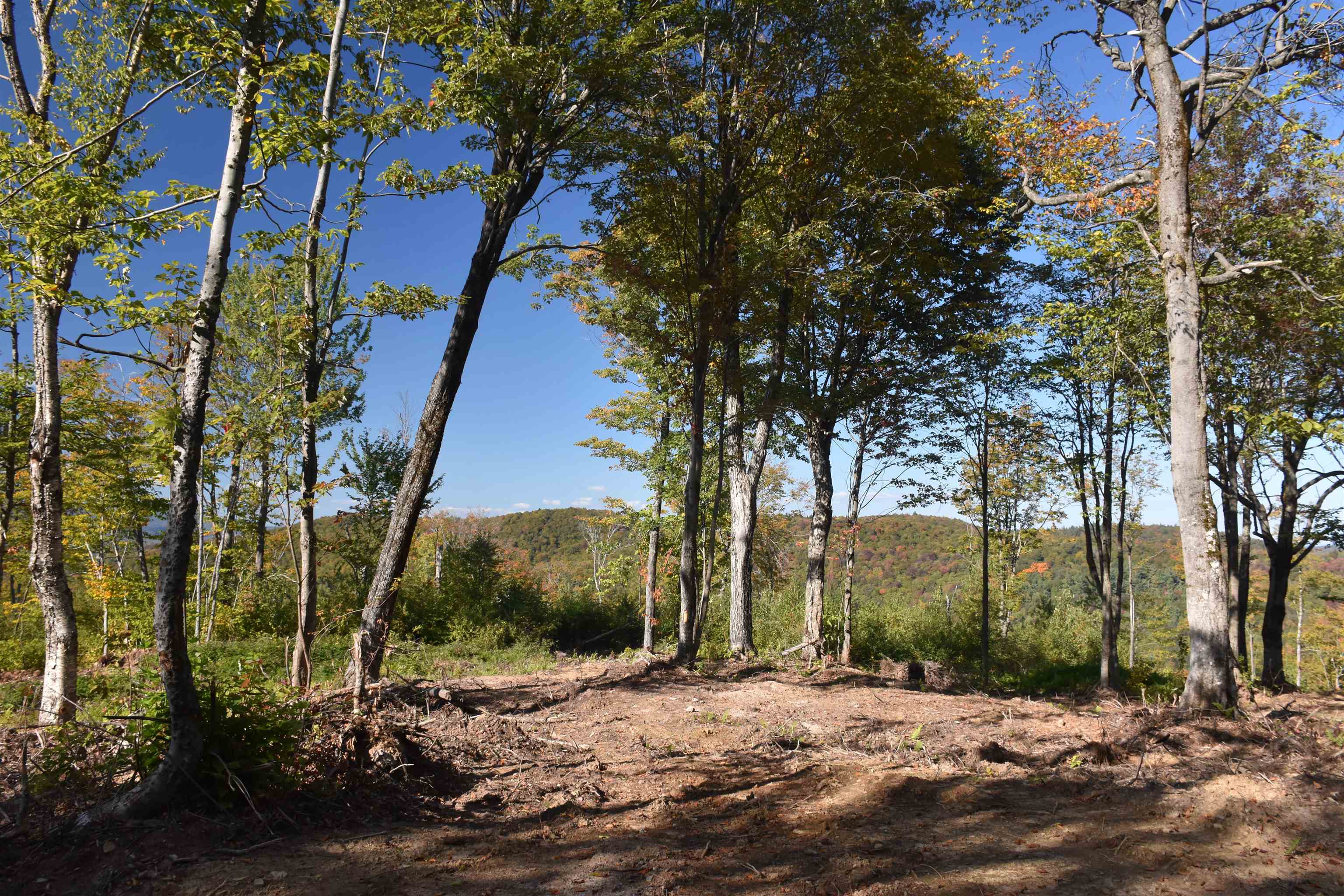 662 Belcher Road, Unit 2 Roxbury, VT 05669 - Photo 18 of 41
