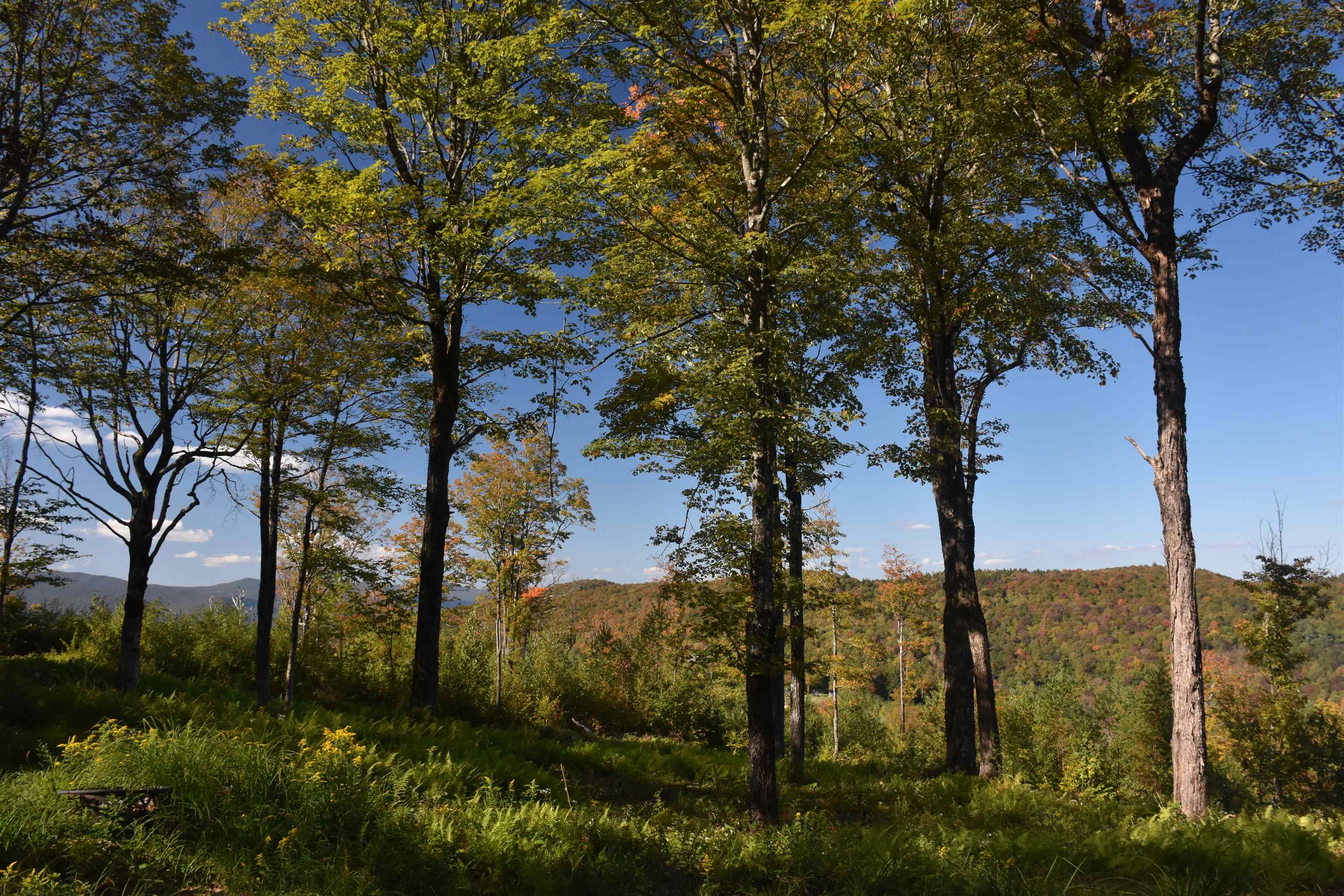 662 Belcher Road, Unit 2 Roxbury, VT 05669 - Photo 19 of 41