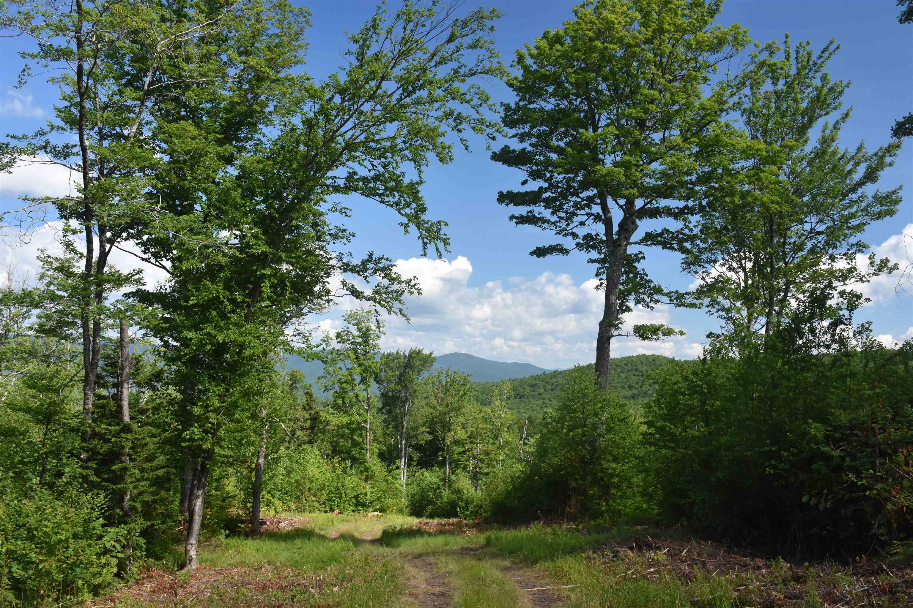 662 Belcher Road, Unit 2 Roxbury, VT 05669 - Photo 2 of 41