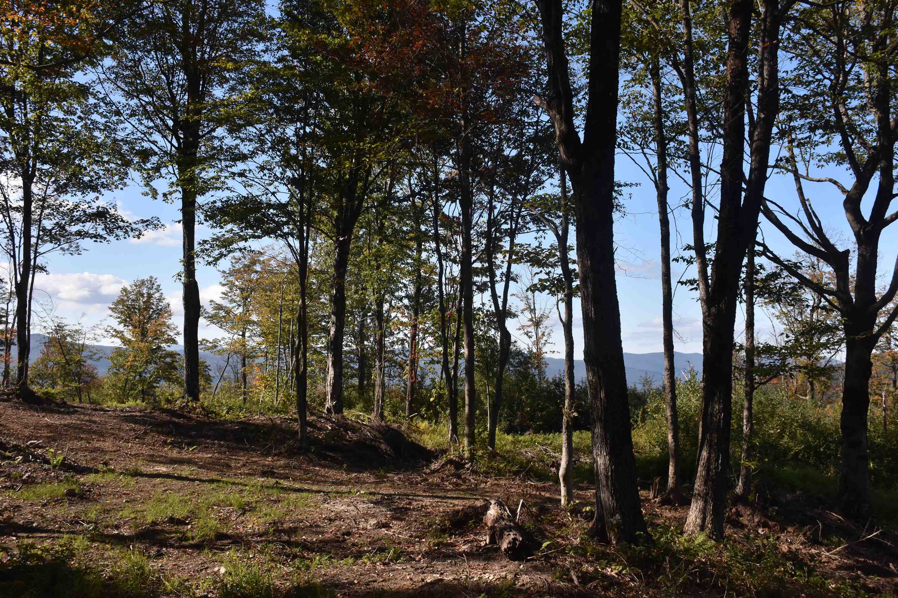 662 Belcher Road, Unit 2 Roxbury, VT 05669 - Photo 24 of 41