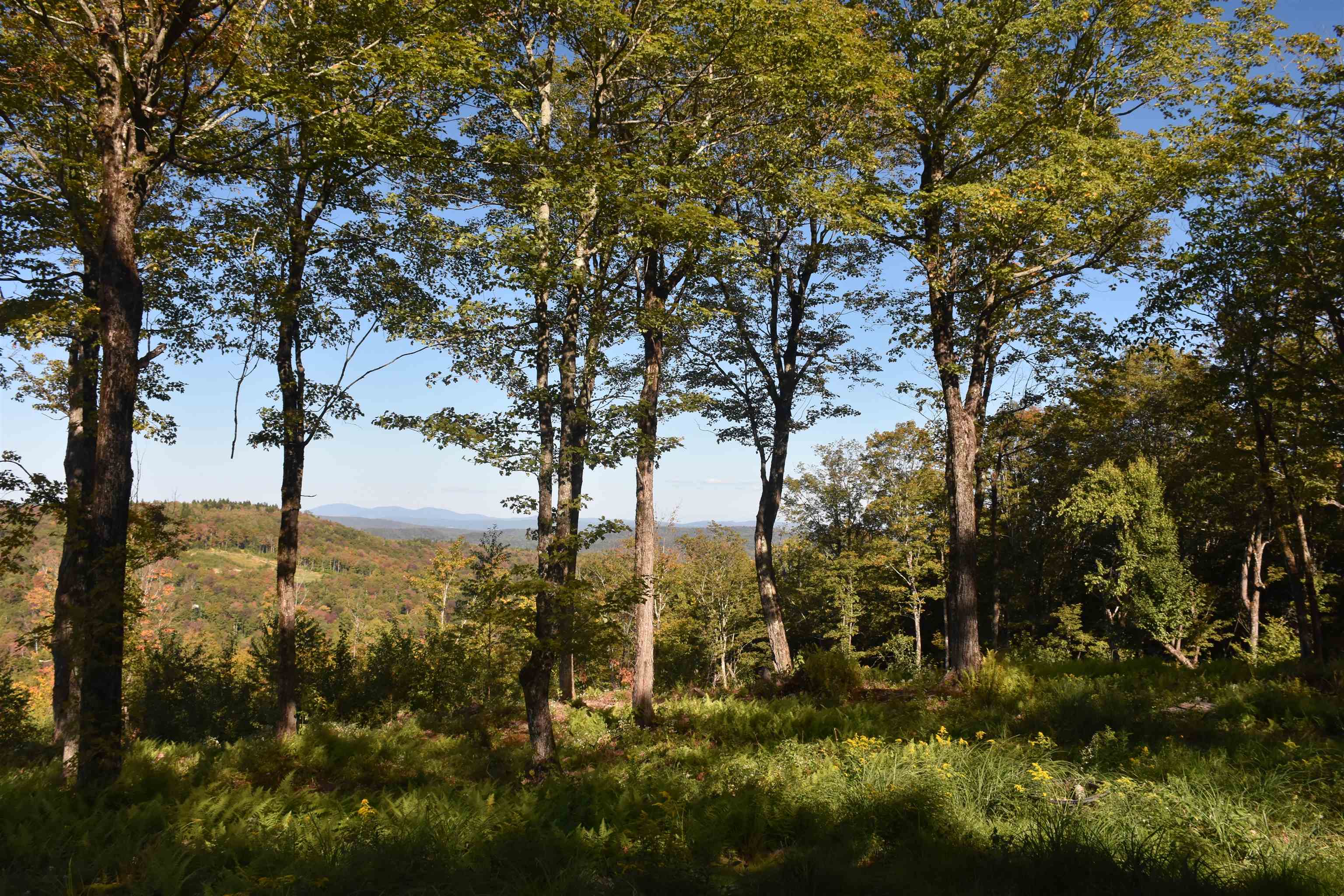 662 Belcher Road, Unit 2 Roxbury, VT 05669 - Photo 33 of 41