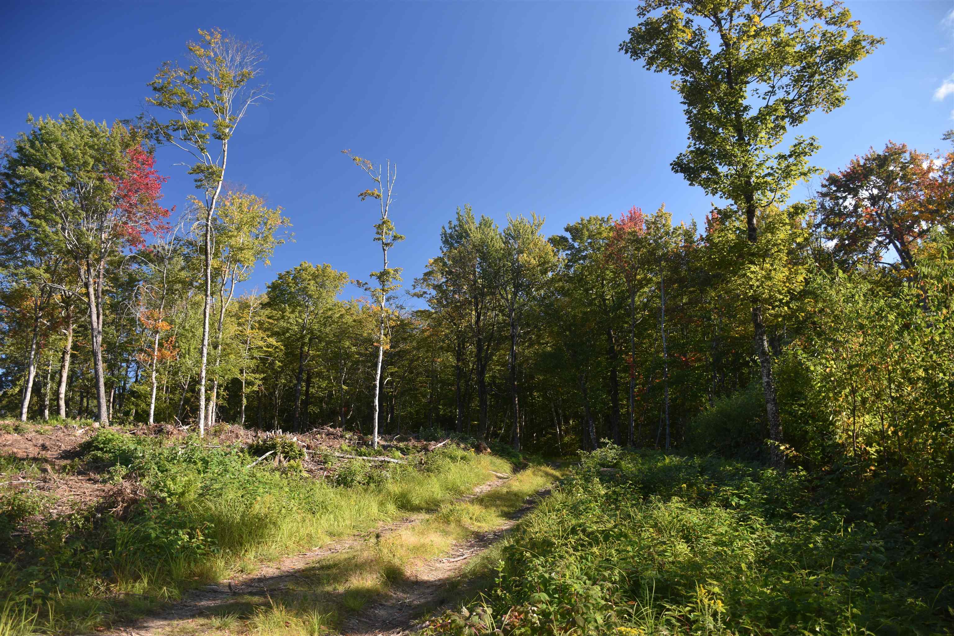 662 Belcher Road, Unit 2 Roxbury, VT 05669 - Photo 35 of 41