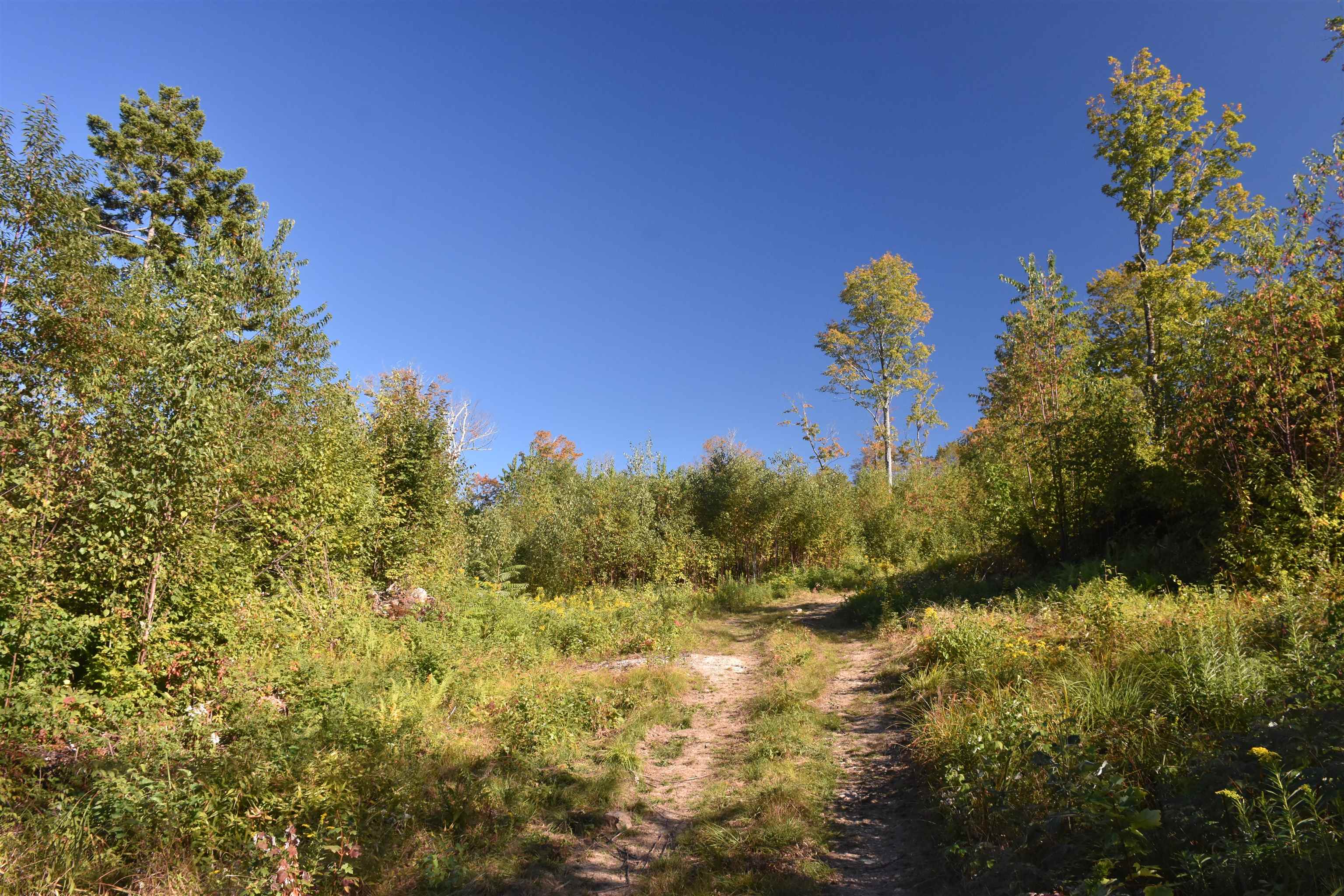 662 Belcher Road, Unit 2 Roxbury, VT 05669 - Photo 36 of 41