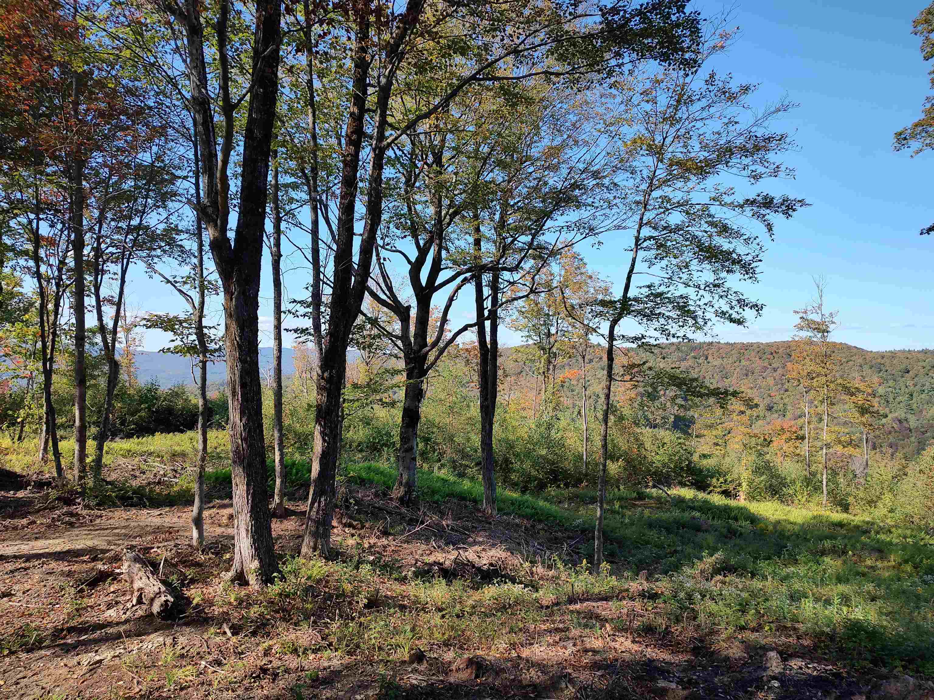 662 Belcher Road, Unit 2 Roxbury, VT 05669 - Photo 38 of 41