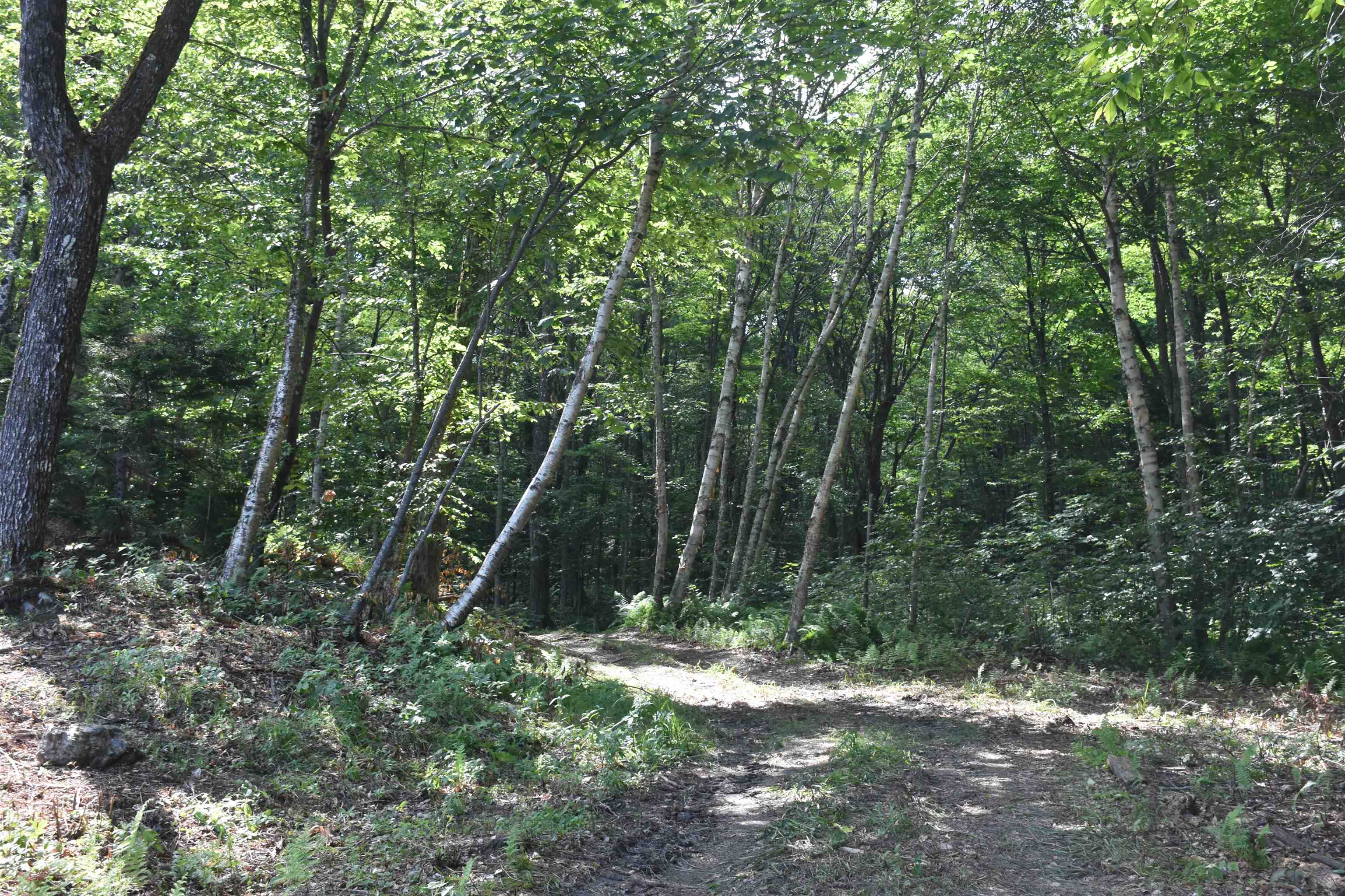 662 Belcher Road, Unit 2 Roxbury, VT 05669 - Photo 39 of 41