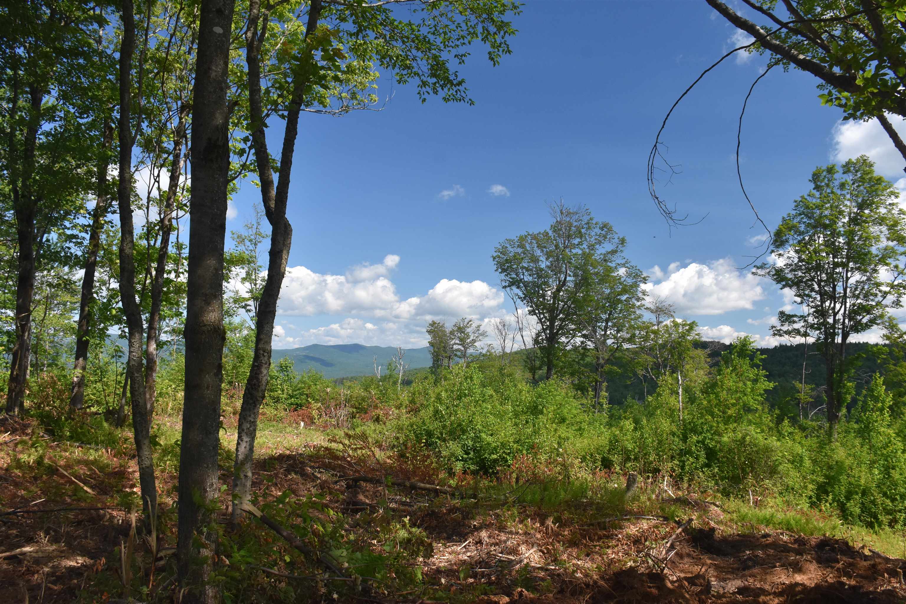 662 Belcher Road, Unit 2 Roxbury, VT 05669 - Photo 6 of 41