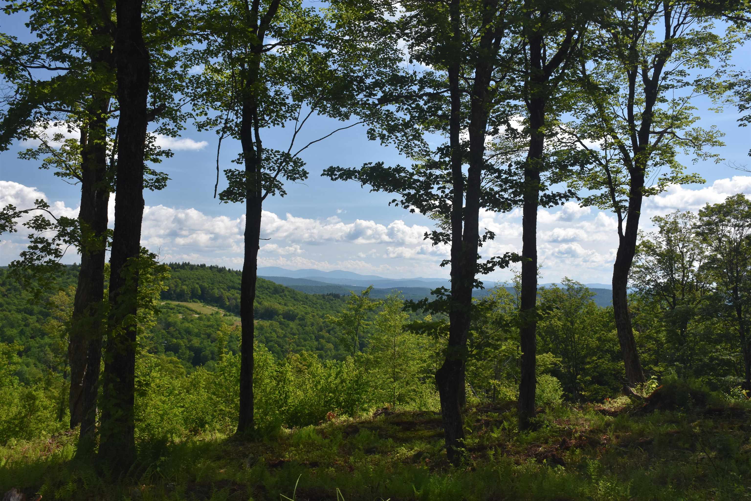 662 Belcher Road, Unit 2 Roxbury, VT 05669 - Photo 8 of 41
