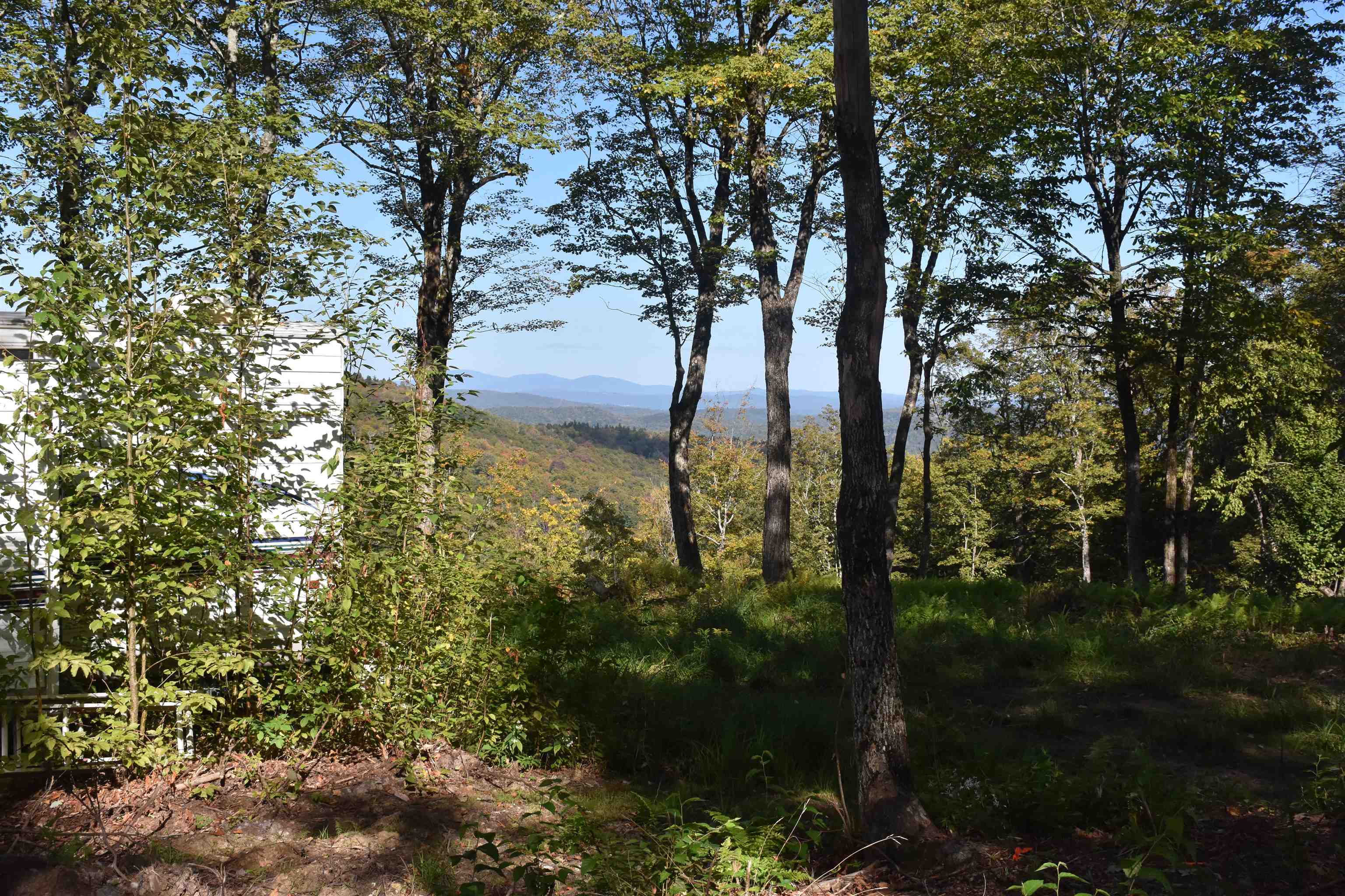 662 Belcher Road, Unit 2 Roxbury, VT 05669 - Photo 10 of 41