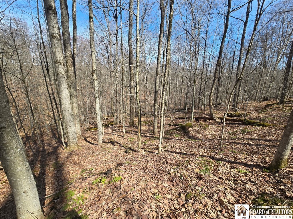 0 West Cobb Road Falconer, NY 14733 - Photo 7 of 49