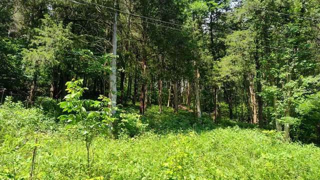 $74,000 | 6 Bay Drive, Lancaster, TN 38569