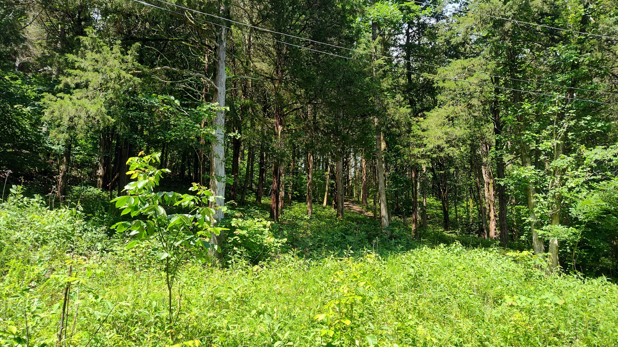 6 Bay Drive Lancaster, TN 38569 - Photo 3 of 7