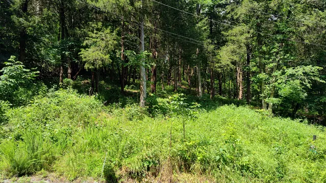 $74,000 | 6 Bay Drive, Lancaster, TN 38569