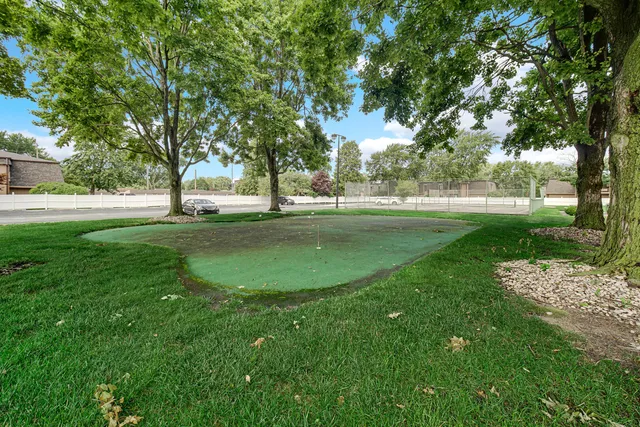 a view of a basket ball ground