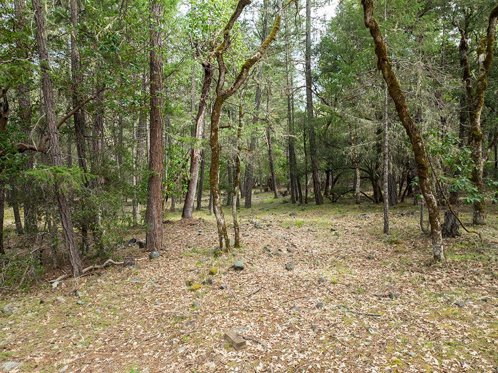 15150 Water Gap Road Williams, OR 97544 - Photo 30 of 53 36