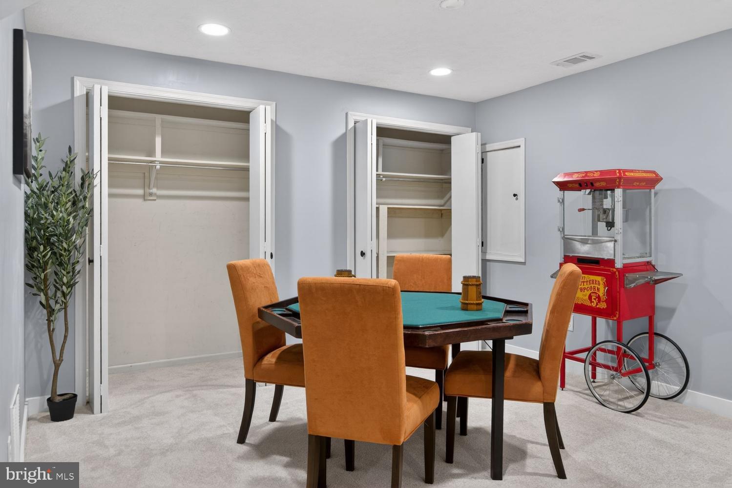 8532 Lakinhurst Lane Springfield, VA 22152 - Photo 48 of 62 Lower level with ample closet and storage space