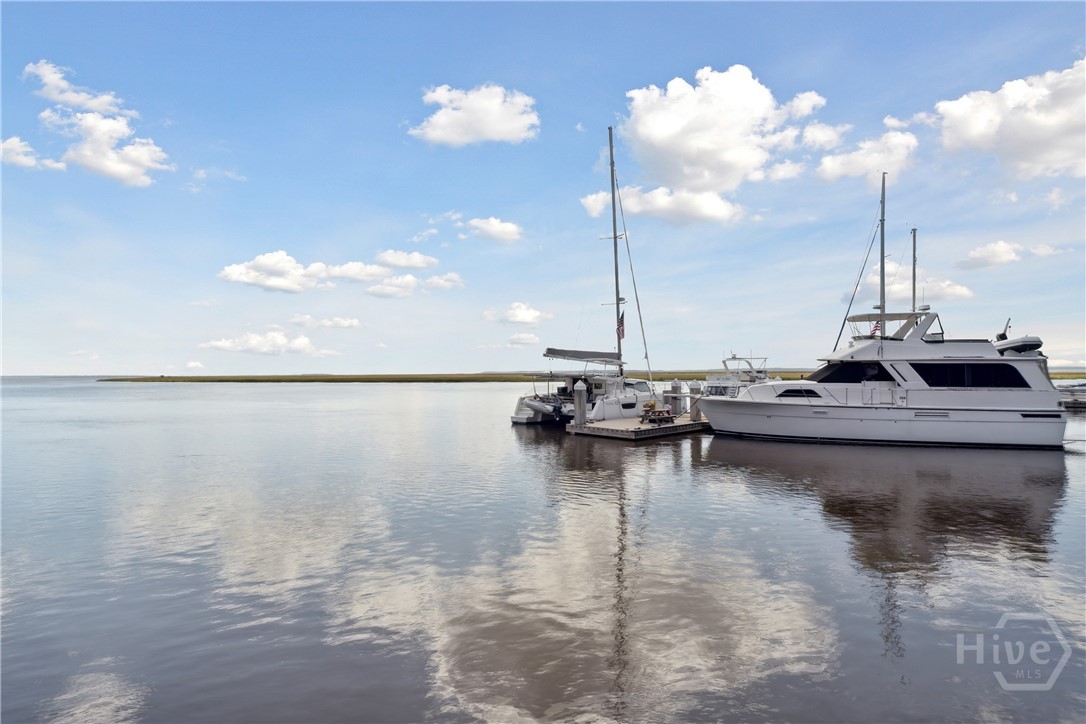3 Watford Road Savannah, GA 31419 - Photo 1 of 48 Easy Access to Coffee Bluff Marina!