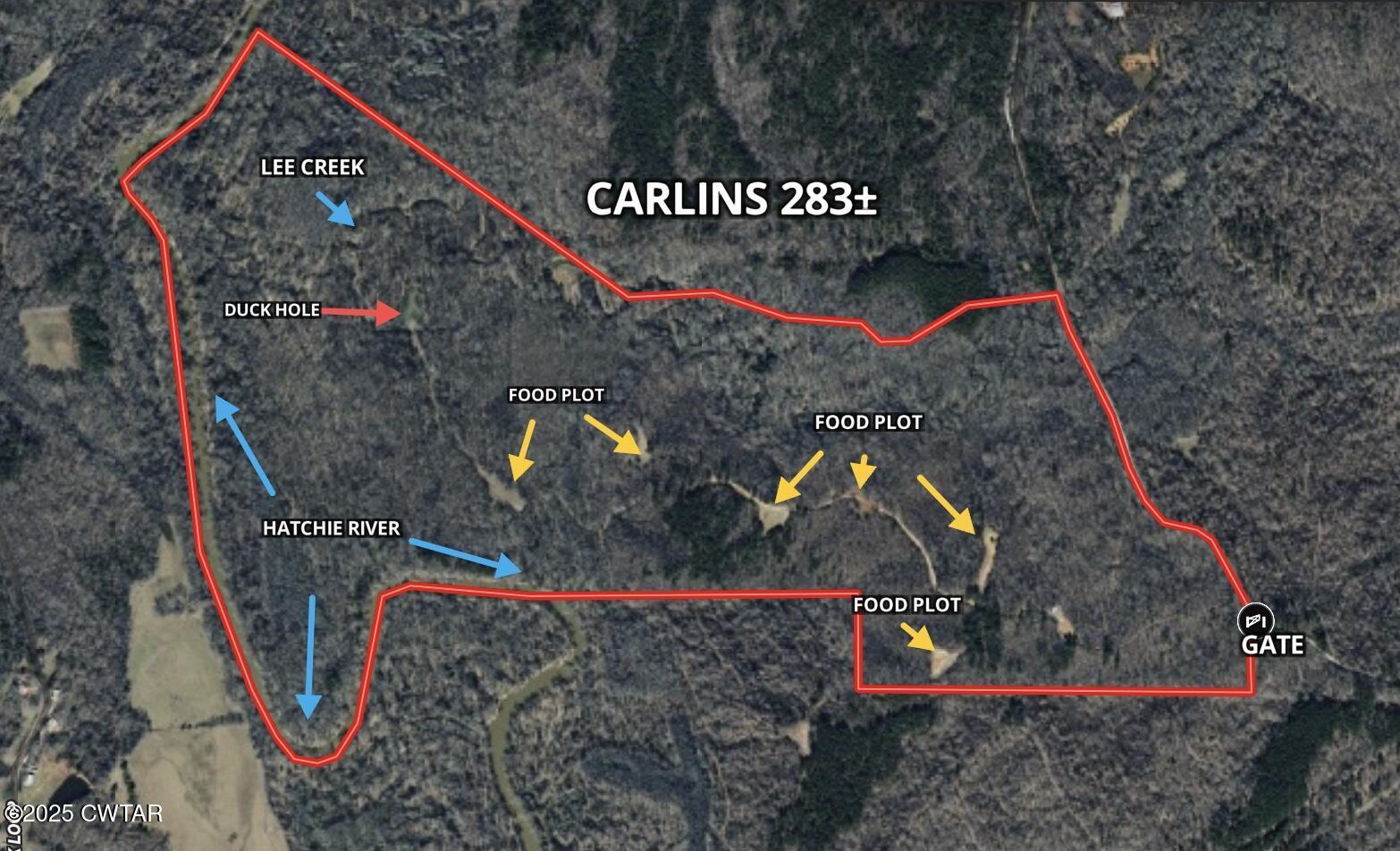 Image 9-30-25 at 10.11PM