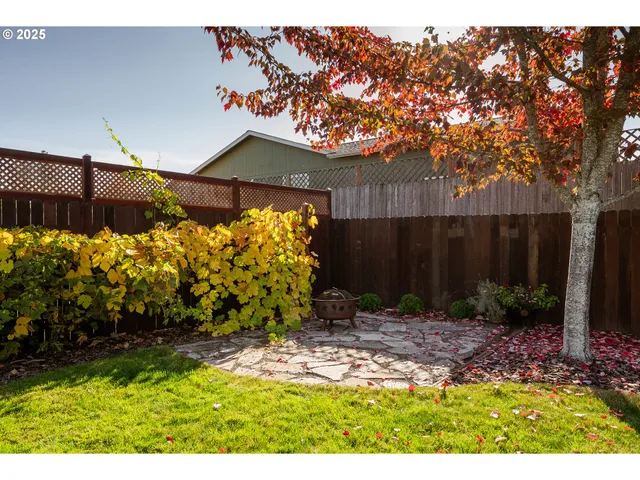 a view of a backyard