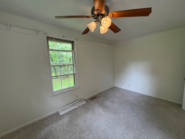 7311 Henry Road Fairview, TN 37062 - Photo 16 of 26