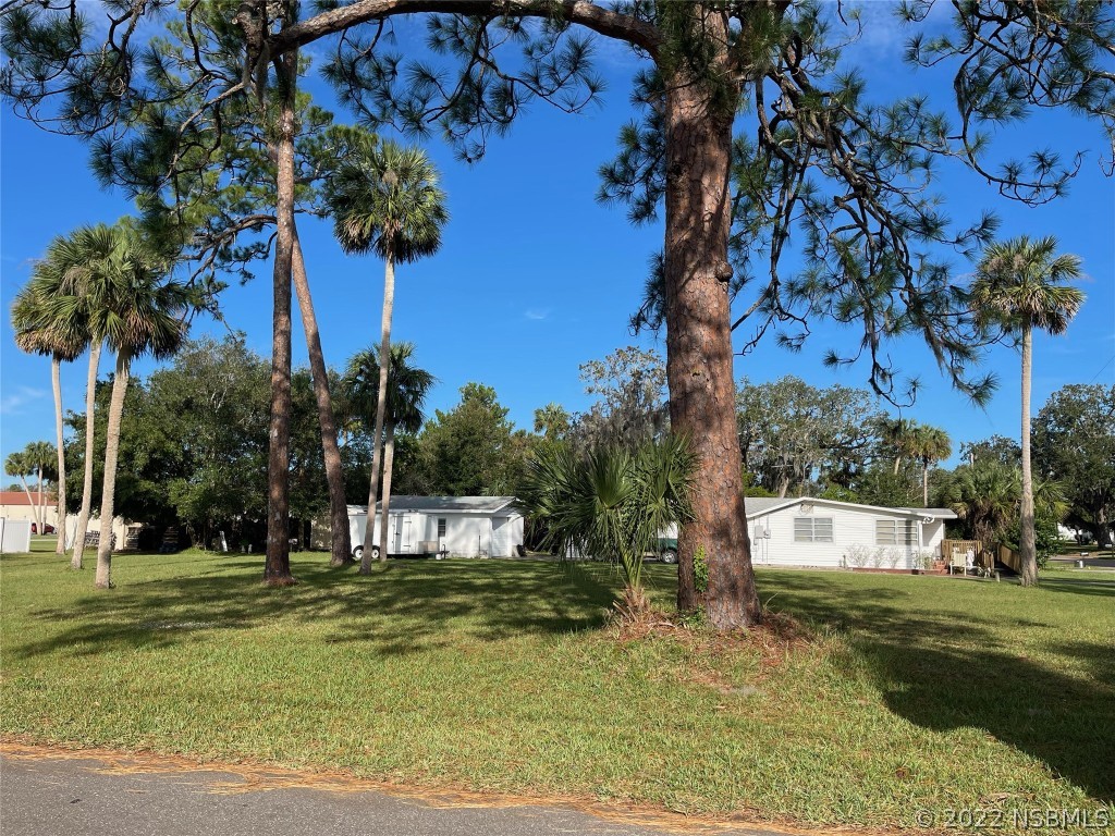 117 Lamont Street Edgewater, FL 32132 - Photo 3 of 3 Gallery Image 3