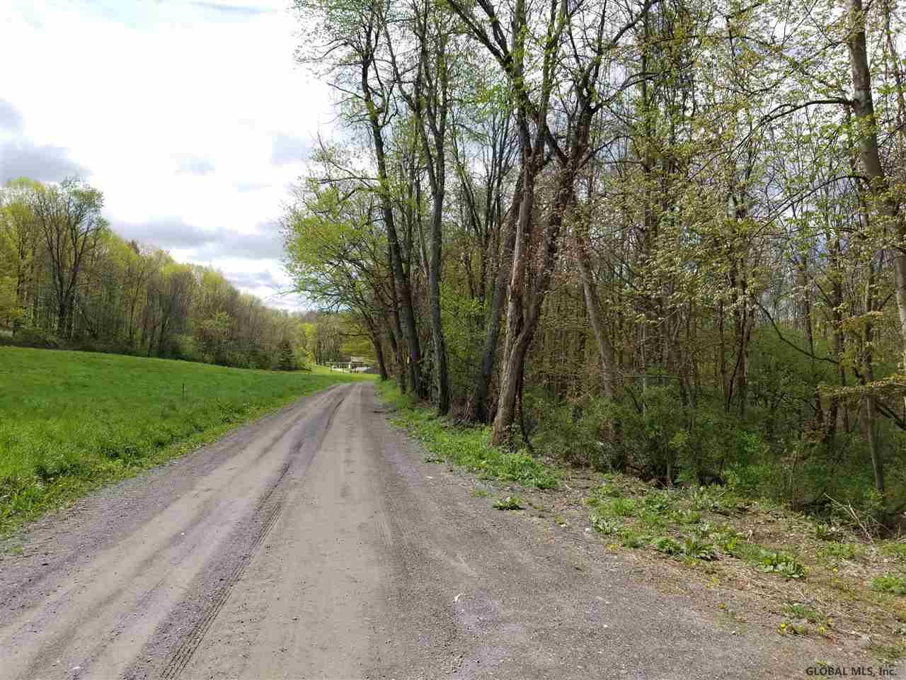 0 Saunders Road Argyle, NY 12809 - Photo 3 of 3 Photo 3