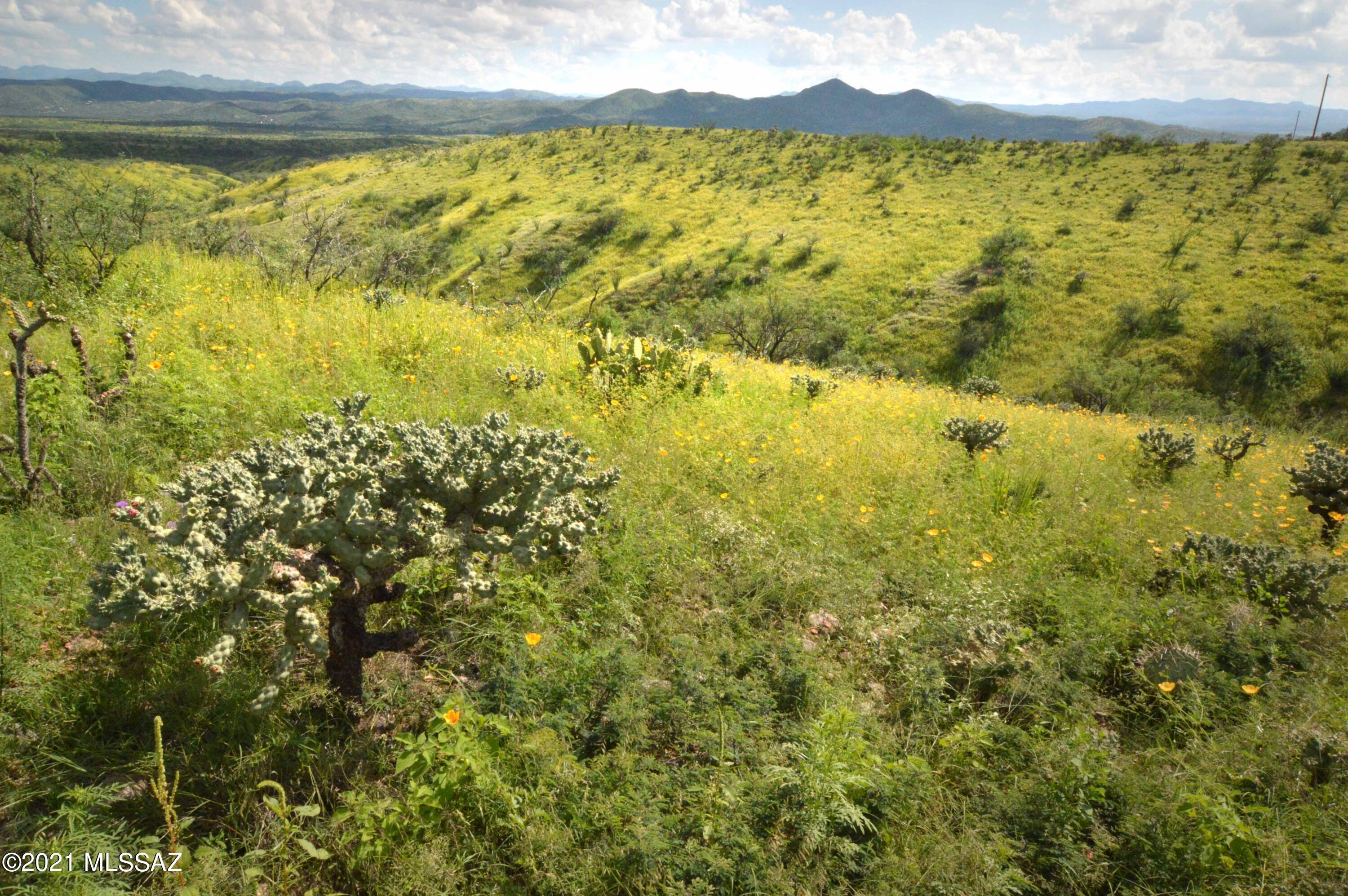 Tbd Sonoita Creek Ranch Road, Unit 86 Nogales, AZ 85621 - Photo 31 of 32