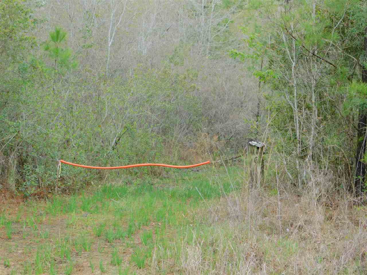 0 Babe Lawrence Road Florala, AL 36442 - Photo 16 of 17 Gallery Image 16