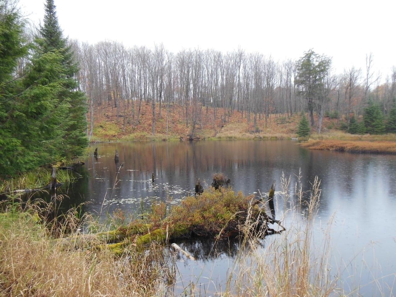Off Off Chaney Cove Road, Unit 5 9 AC Wakefield, MI 49968 - Photo 21 of 38 Gallery Image 21