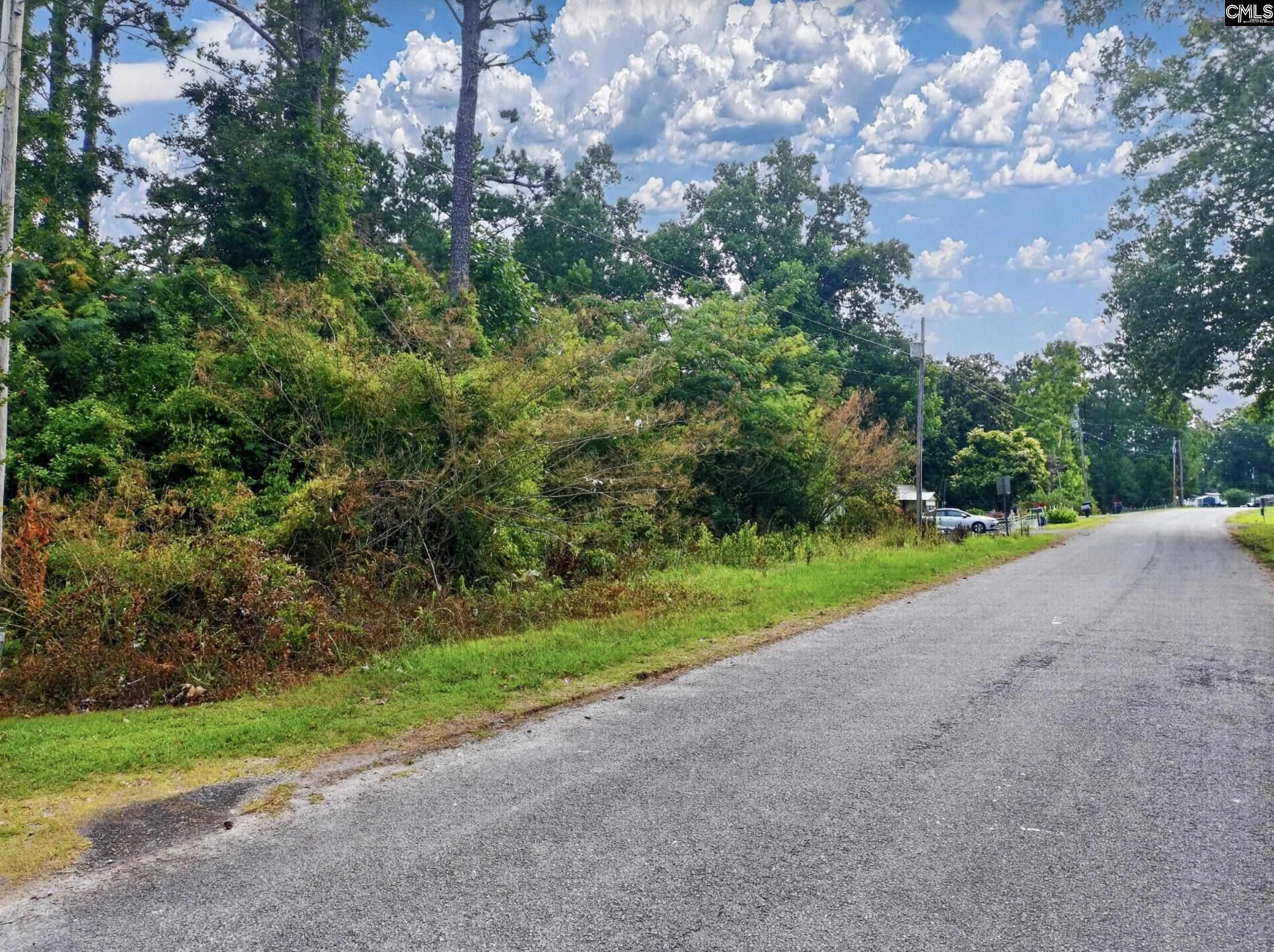 1175 Tailers Trail Prosperity, SC 29127 - Photo 16 of 16