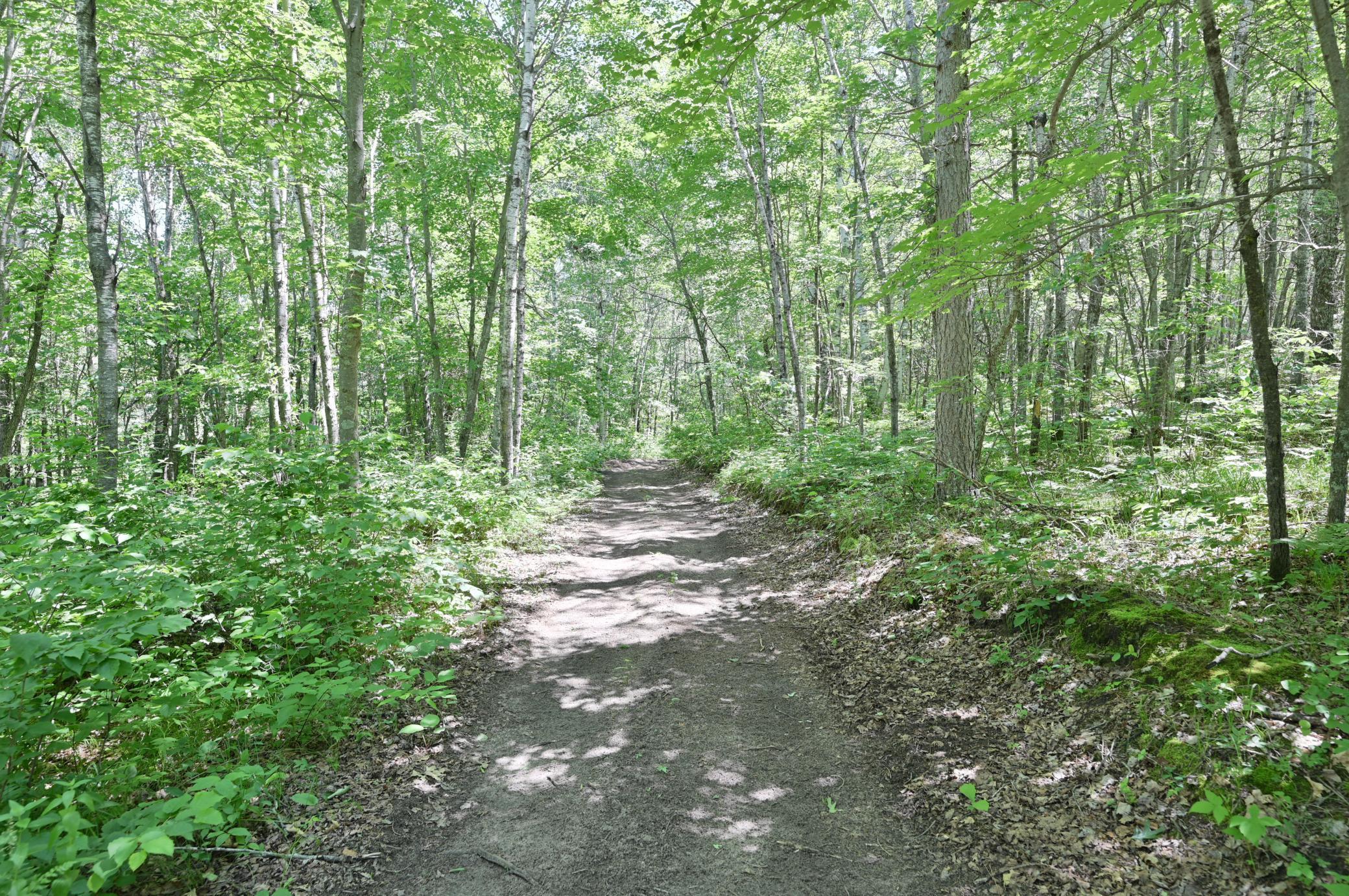 9036 Ashtons Way Webster, WI 54893 - Photo 3 of 16