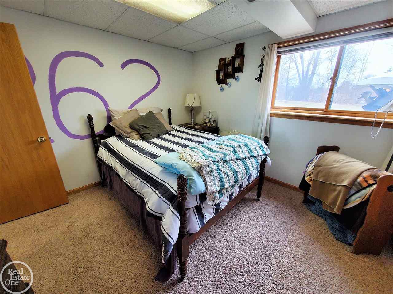 8195 Tubspring Road Almont, MI 48003 - Photo 52 of 95 50075786-52.JPG