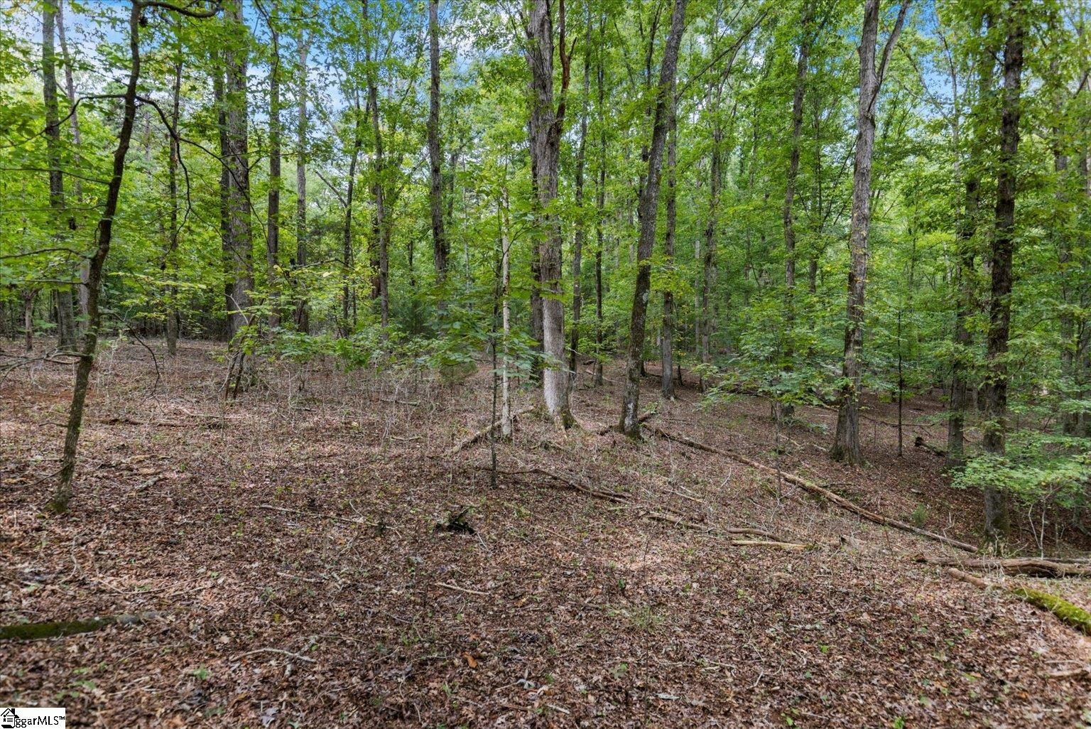 0 Hickory Nut Drive Inman, SC 29349 - Photo 12 of 16