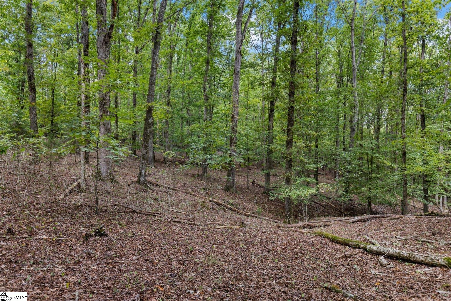 0 Hickory Nut Drive Inman, SC 29349 - Photo 13 of 16