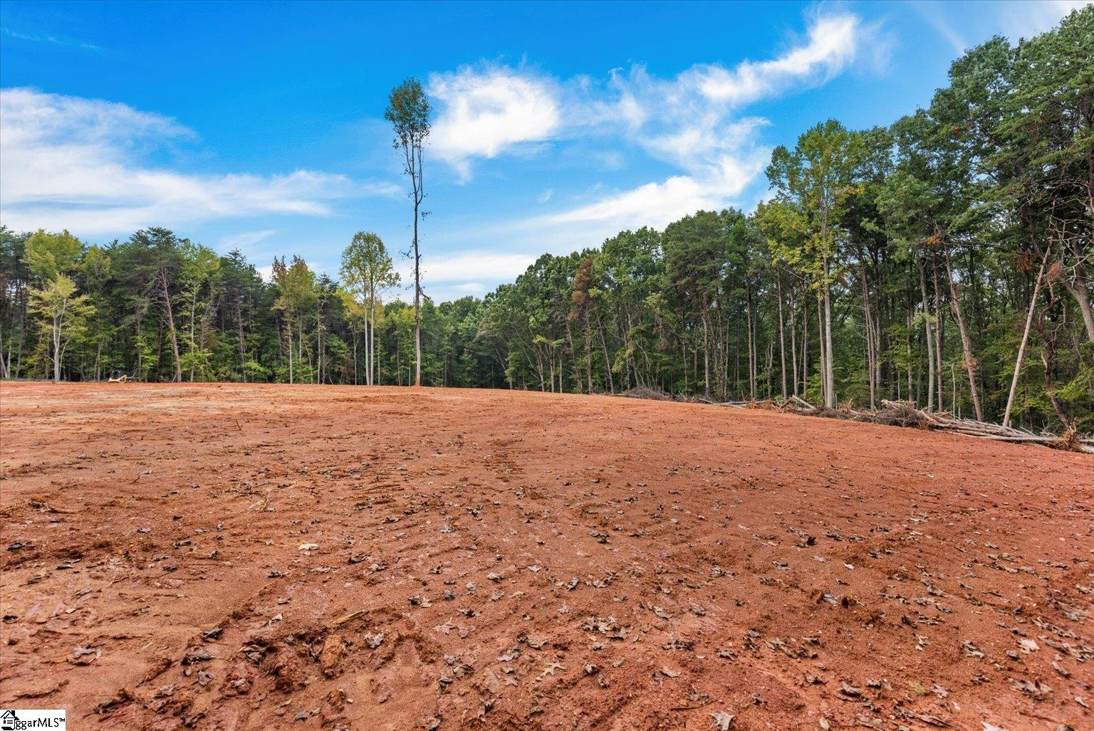 0 Hickory Nut Drive Inman, SC 29349 - Photo 14 of 16