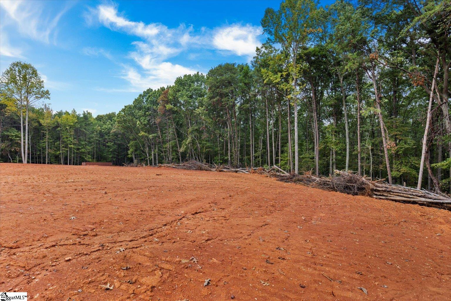 0 Hickory Nut Drive Inman, SC 29349 - Photo 15 of 16