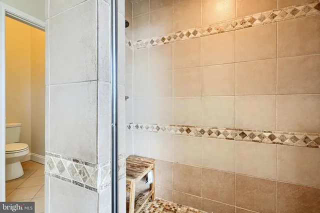 a bathroom with a shower and a toilet