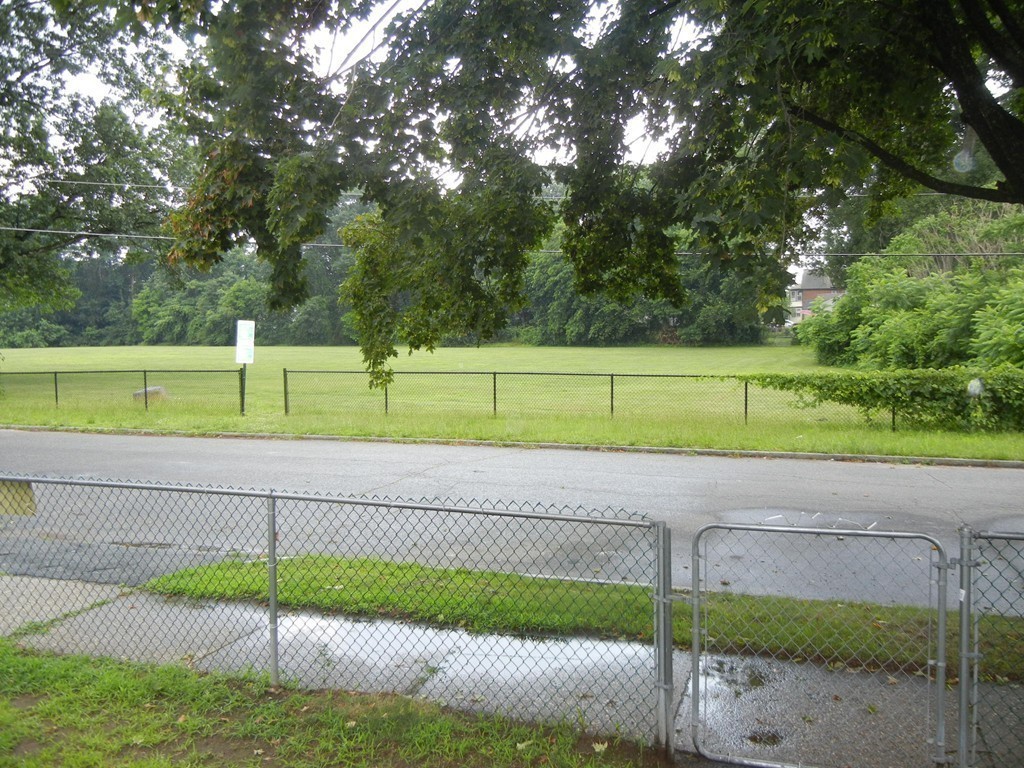 141 Freeman Terrace Springfield, MA 01104 - Photo 20 of 21 a view of a park with a large trees