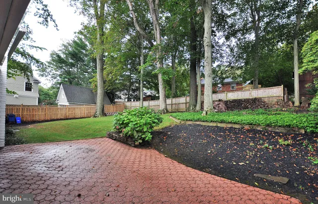 a view of a yard with plants and trees