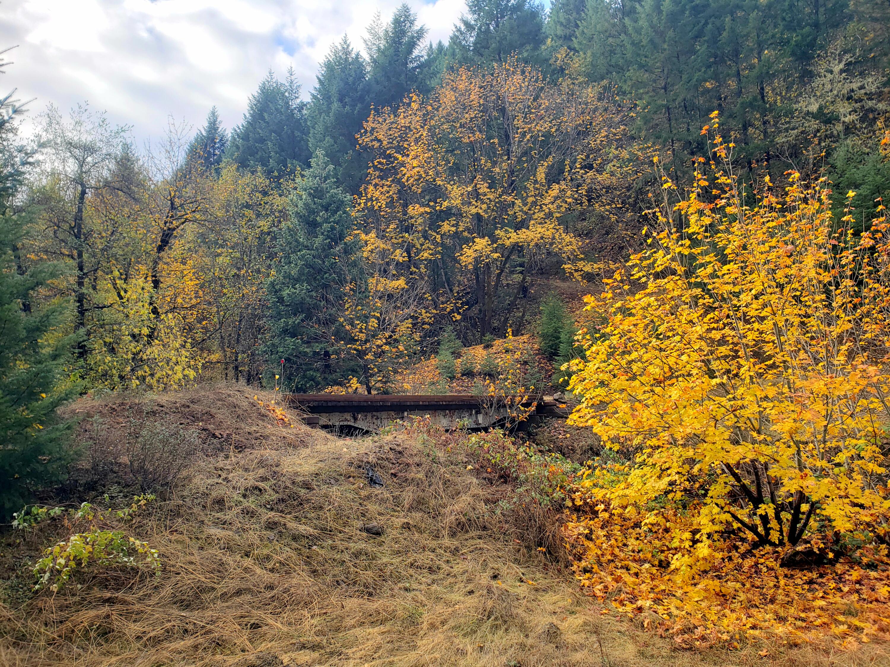 3969 Old Ferry Road Shady Cove, OR 97539 - Photo 5 of 20 20221109_141618